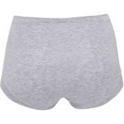 Maxi brief | bambus | lys grå -JBS of Denmark Women